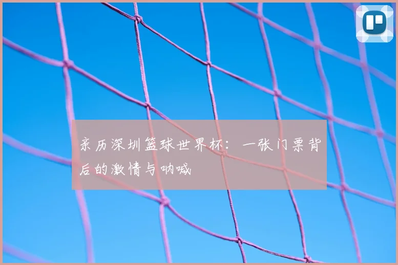 亲历深圳篮球世界杯：一张门票背后的激情与呐喊