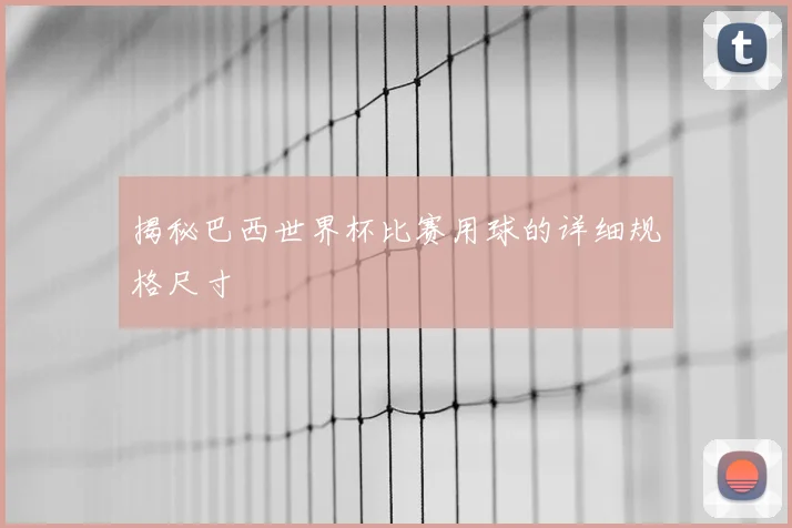揭秘巴西世界杯比赛用球的详细规格尺寸