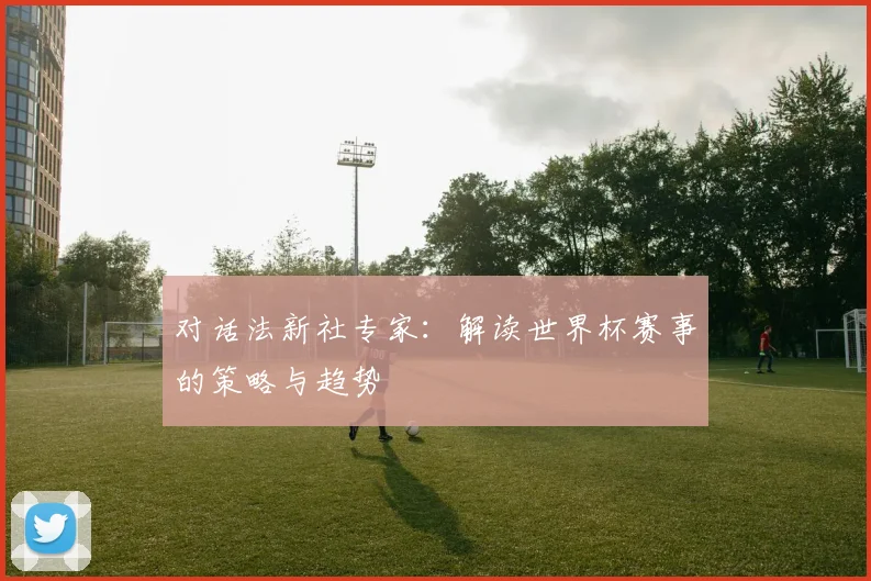对话法新社专家:解读世界杯赛事的策略与趋势