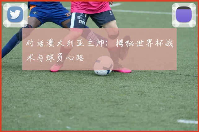 对话澳大利亚主帅:揭秘世界杯战术与球员心路